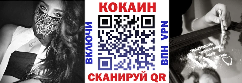 Кокаин Fish Scale  Купить закладки  Нестеров 
