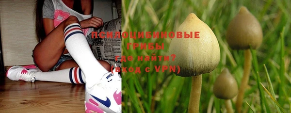 jwh Горняк