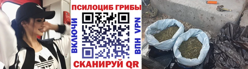 Псилоцибиновые грибы GOLDEN TEACHER  Купить закладки  Нестеров 